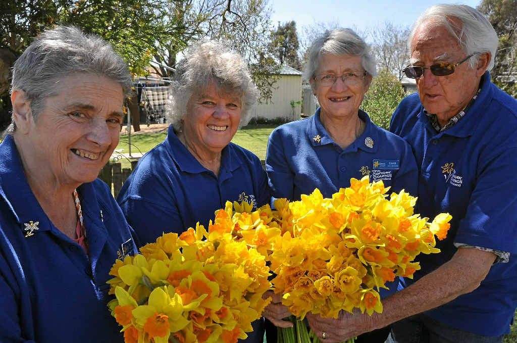 Cancer Council volunteer committee of Del Franchina, Kay Wilson, Carol Cooke and Ken Hartnett with the daffodils. Cancer Council volunteer committee of Del Franchina, Kay Wilson, Carol Cooke and Ken Hartnett with the daffodils.